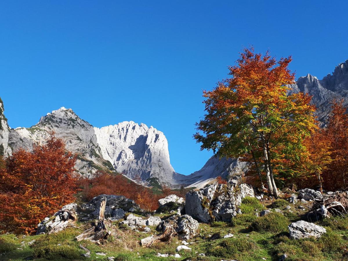 Haus Strobler Daire Going am Wilden Kaiser Dış mekan fotoğraf