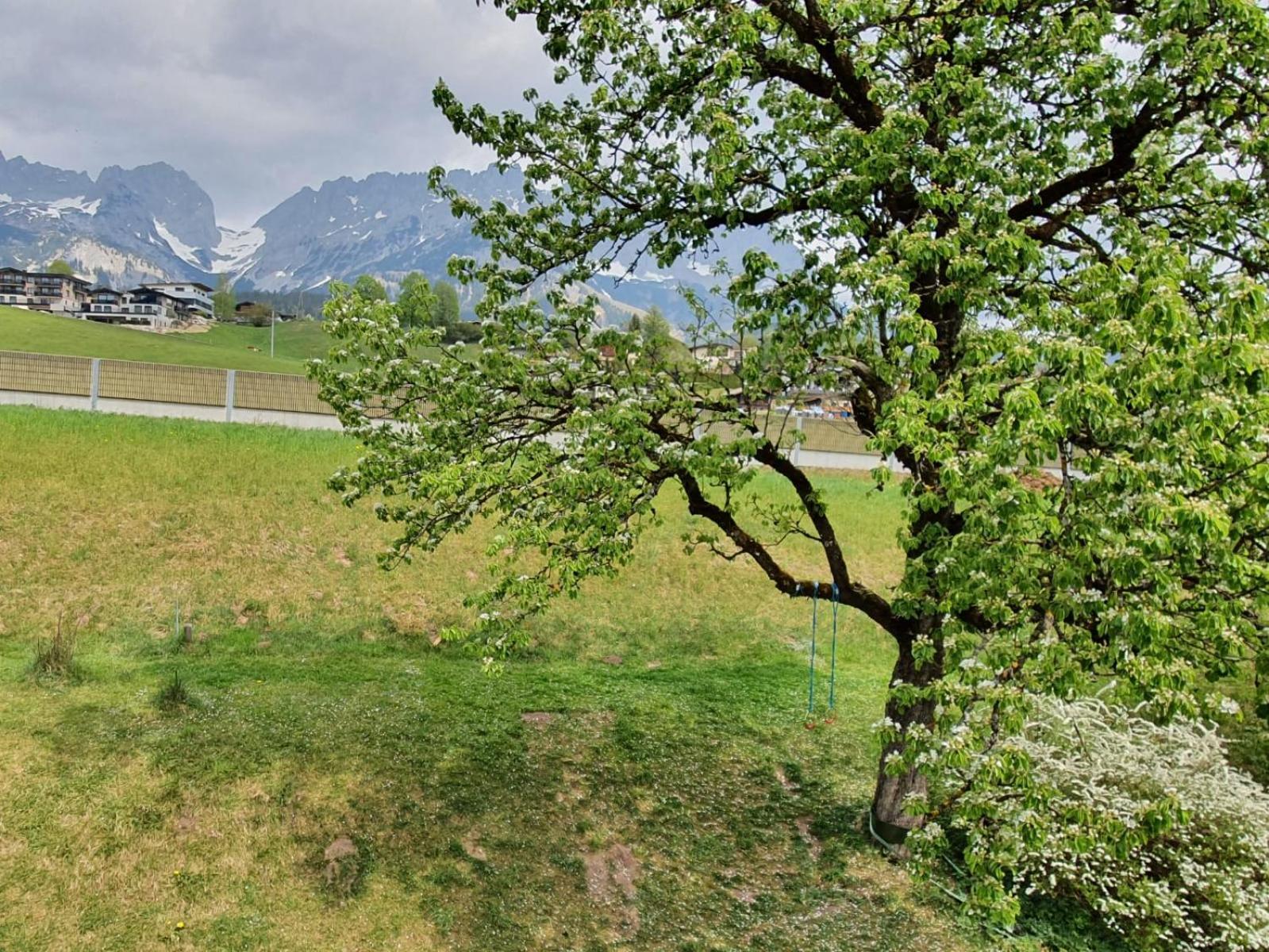 Haus Strobler Daire Going am Wilden Kaiser Oda fotoğraf